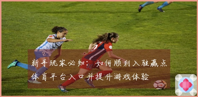 新手玩家必知：如何顺利入驻赢点体育平台入口并提升游戏体验