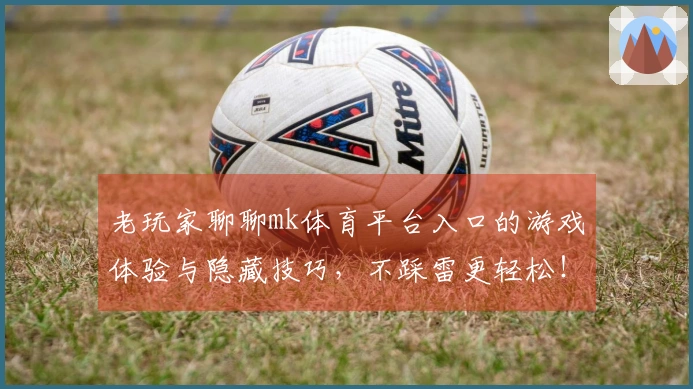 老玩家聊聊mk体育平台入口的游戏体验与隐藏技巧，不踩雷更轻松！